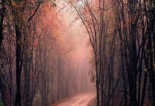 华体会体育：[举重]全国举重锦标赛 男子55公斤级.