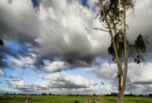 米体：尤文考虑更换主帅莫塔的可能性，曼奇尼与图德尔是候选.