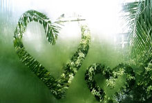 华体会体育：[CBA]浙江队快速反击 盖利轻松上篮得手.