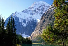 华体会体育：英超：纽卡斯尔以1比0 击败阿申纳.